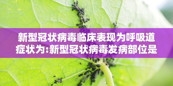 新型冠状病毒临床表现为呼吸道症状为:新型冠状病毒发病部位是呼吸道主要症状为