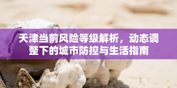 全国疫情数据/全国疫情数据实时更新