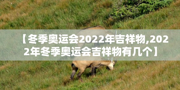 【冬季奥运会2022年吉祥物,2022年冬季奥运会吉祥物有几个】