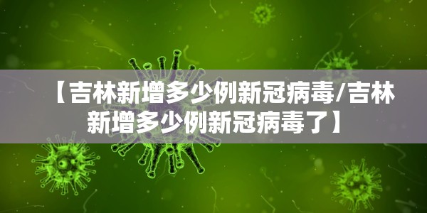 【2024年快递最新消息查询/二零二零年快递什么时候停运】