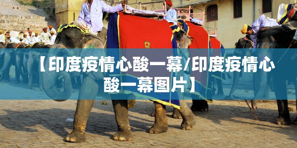 江苏发现一例h10n3/江苏又发现一例