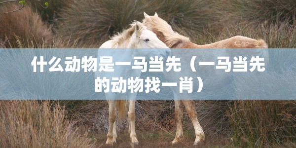 【厦门同安疫情最新消息今天/厦门同安疫情最新消息今天新增】