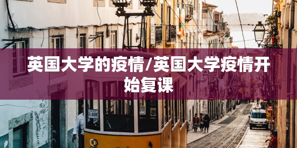 【游戏王混沌力量城之内篇卡组全卡/游戏王混沌力量城之内篇攻略】