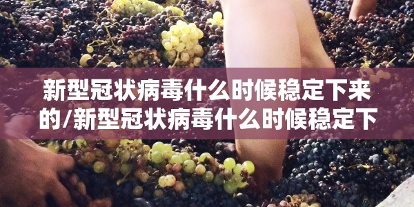 【金和县第四中学真实存在吗,金和初级中学老师名单】