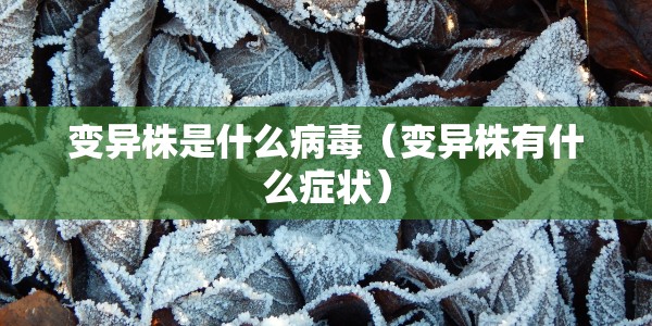 【10月9日补几号的班,10月9号补周几的班】