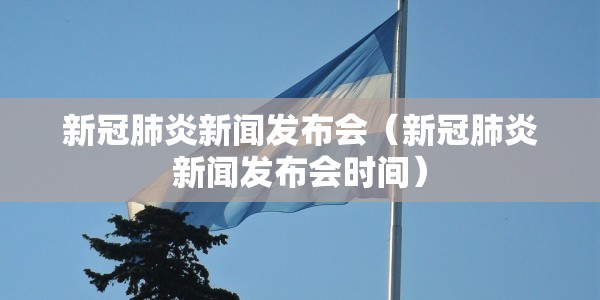 新冠肺炎新闻发布会（新冠肺炎新闻发布会时间）