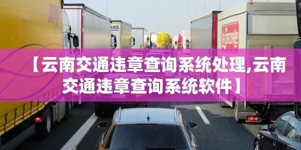 【云南交通违章查询系统处理,云南交通违章查询系统软件】
