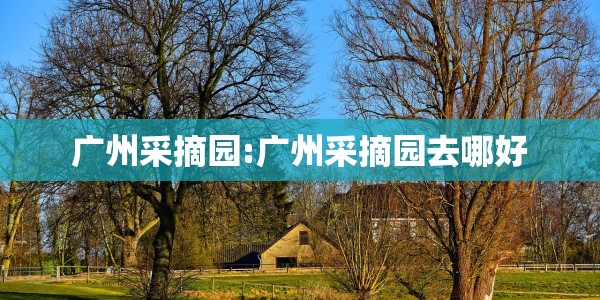 【哈尔滨12例确诊病例活动轨迹,哈尔滨11例本土确诊轨迹公布涉多家饭店】