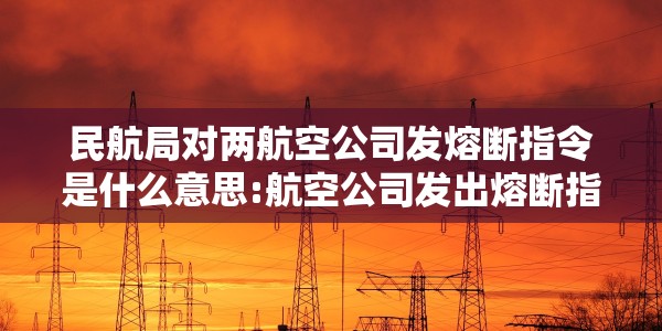 民航局对两航空公司发熔断指令是什么意思:航空公司发出熔断指令是什么意思