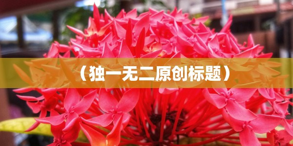 宿州市埇桥区大营镇/宿州市埇桥区大营镇天气预报汉单777多少钱一袋