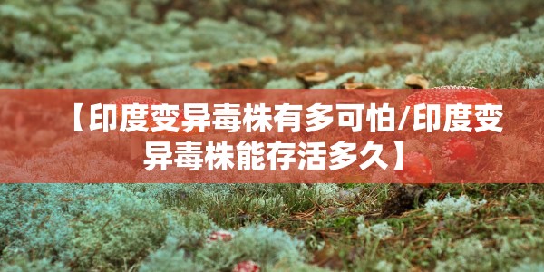 【哈灵麻将/哈灵麻将开挂神器下载】