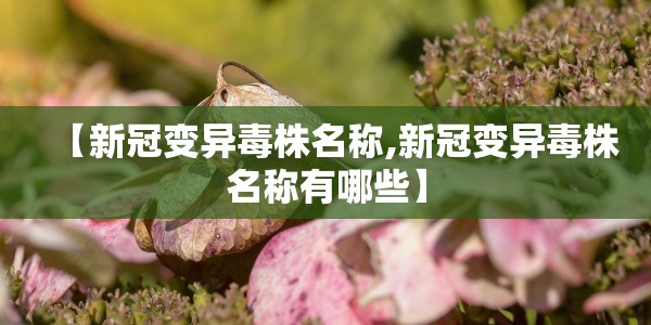 【昨日新增本土6例病例,昨日新增本土六例】