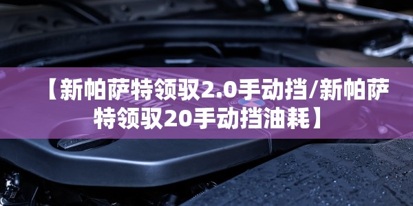 【新帕萨特领驭2.0手动挡/新帕萨特领驭20手动挡油耗】