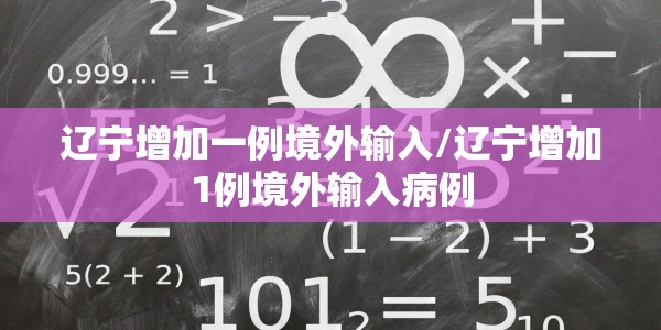 辽宁增加一例境外输入/辽宁增加1例境外输入病例