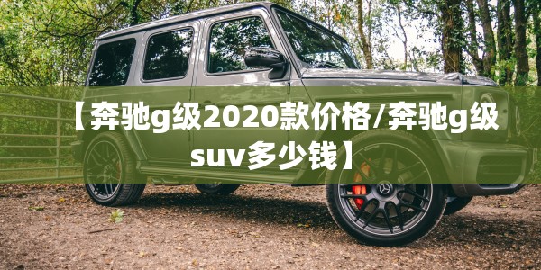 【奔驰g级2020款价格/奔驰g级suv多少钱】