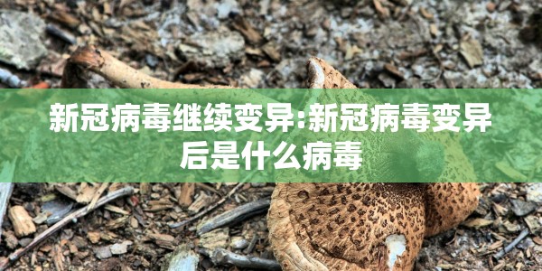 新冠病毒继续变异:新冠病毒变异后是什么病毒