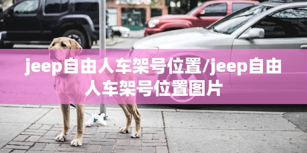 jeep自由人车架号位置/jeep自由人车架号位置图片