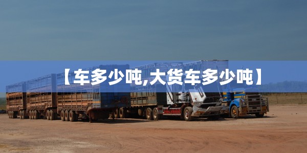 【车多少吨,大货车多少吨】