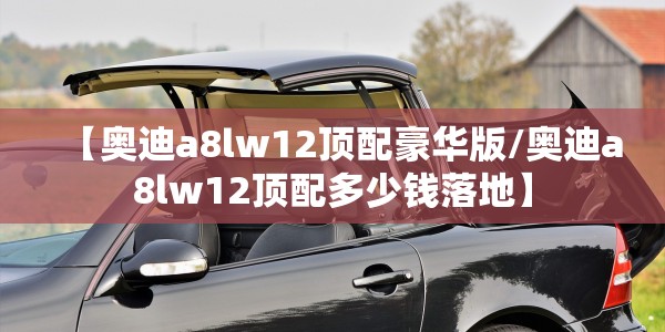 【奥迪a8lw12顶配豪华版/奥迪a8lw12顶配多少钱落地】