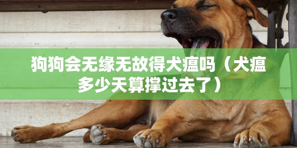 狗狗会无缘无故得犬瘟吗（犬瘟多少天算撑过去了）