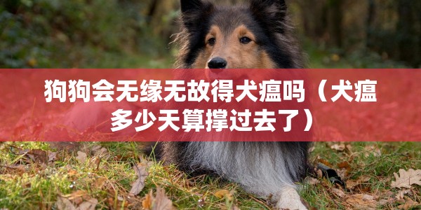 狗狗会无缘无故得犬瘟吗（犬瘟多少天算撑过去了）