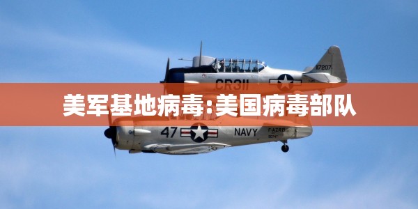 美军基地病毒:美国病毒部队
