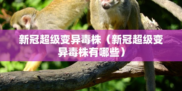 全国的疫情最新消息今天/全国疫情最新消息今天实时2023年11月19