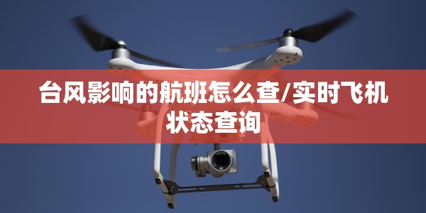 台风影响的航班怎么查/实时飞机状态查询