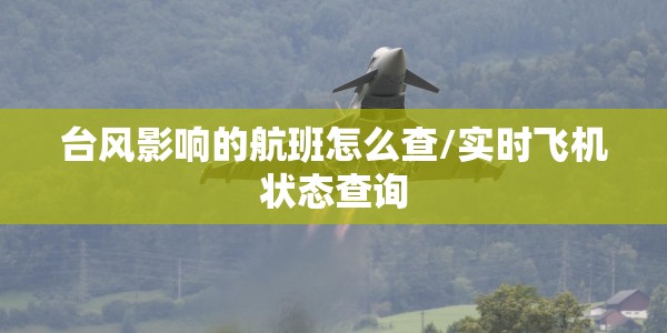 台风影响的航班怎么查/实时飞机状态查询