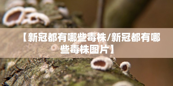 哈尔滨多人疫情防控不力被追责（哈尔滨疫情被问责）
