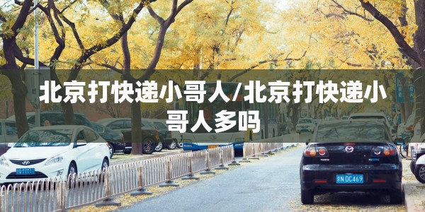 北京打快递小哥人/北京打快递小哥人多吗