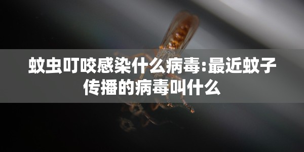 湖南邵阳新型肺炎疫情最新消息/湖南邵阳疫情最新数据消息新增