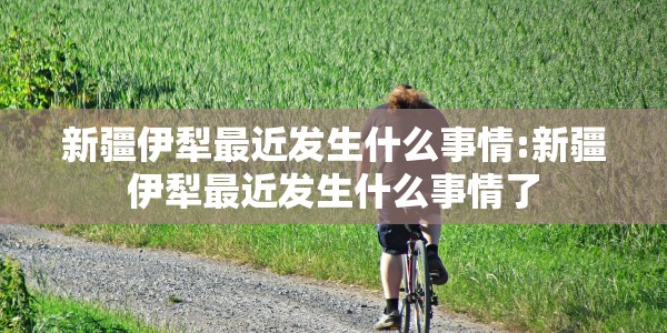 新疆伊犁最近发生什么事情:新疆伊犁最近发生什么事情了