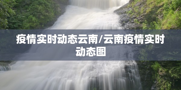 疫情实时动态云南/云南疫情实时动态图