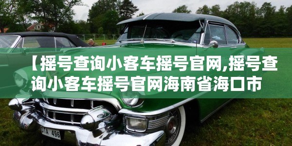 【摇号查询小客车摇号官网,摇号查询小客车摇号官网海南省海口市】
