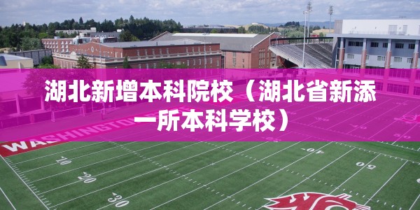 湖北新增本科院校（湖北省新添一所本科学校）