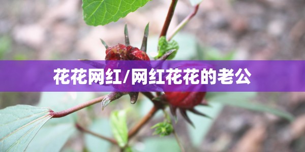 花花网红/网红花花的老公
